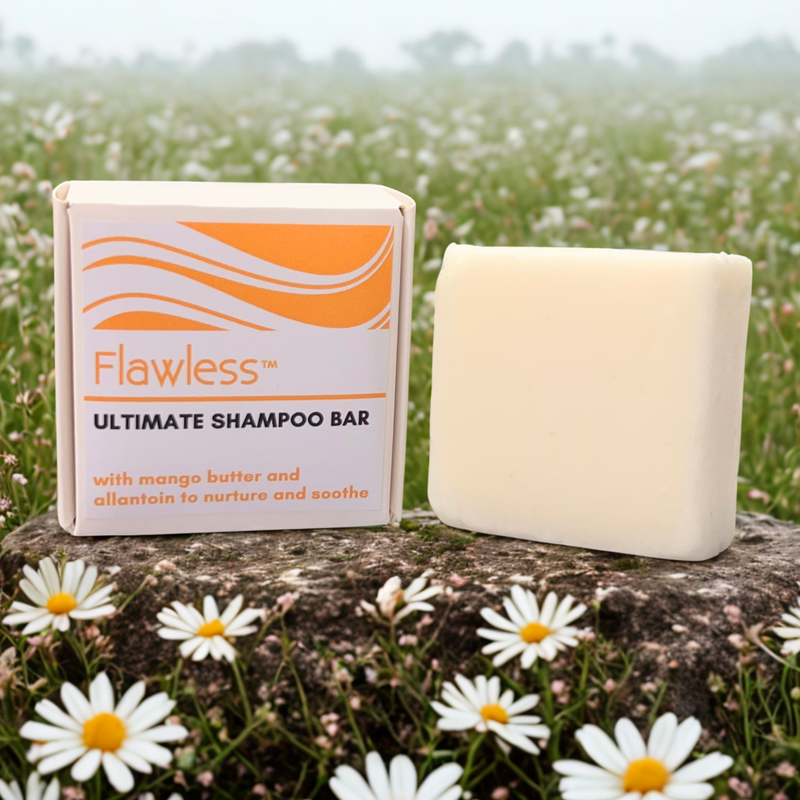 Shampoo and Conditioner Bar Bundle