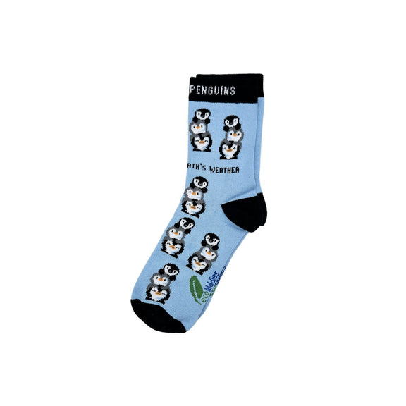 NATURE'S FRIENDS ORGANIC COTTON KIDS SOCKS BUNDLE-2
