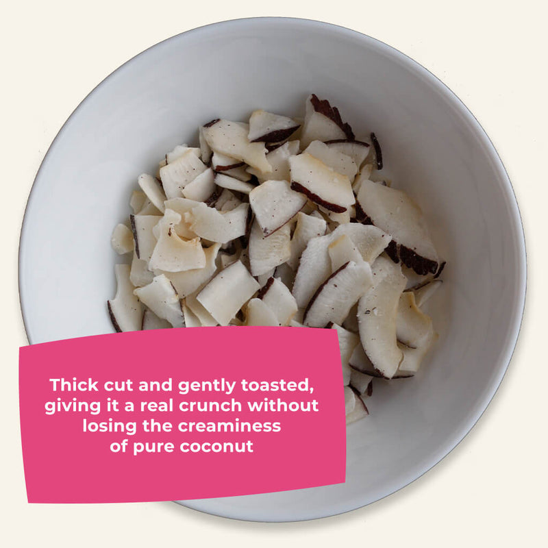 Organic Toasted Coconut Chips-1