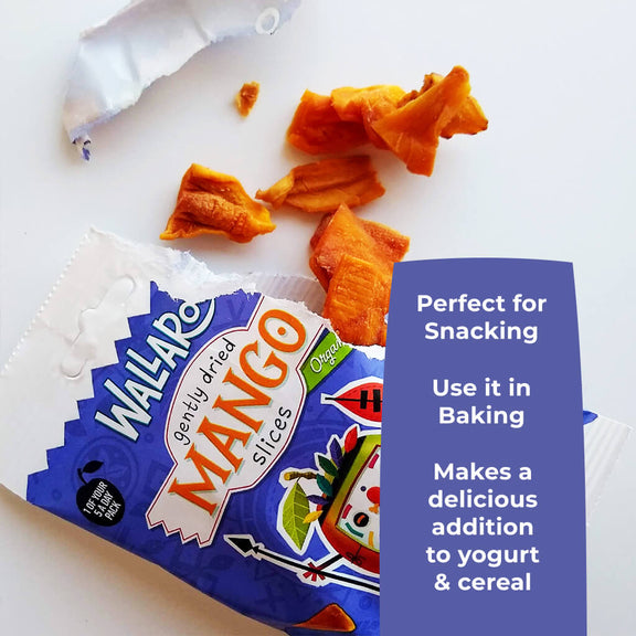 Tasting Bundle - Organic Dried Mango Slices-4