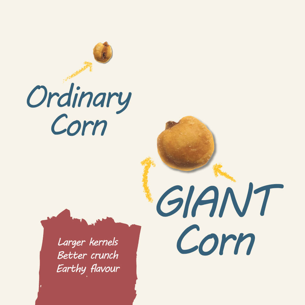 Roasted Peruvian Giant Corn Kernels - Sea Salt-2