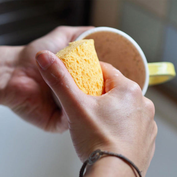 Compostable Cellulose Sponges - Pack of 2-3