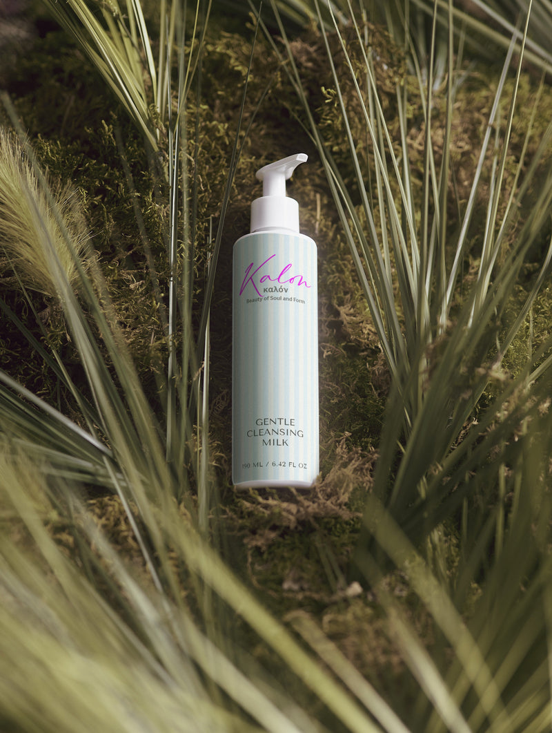Gentle Cleansing Milk-2