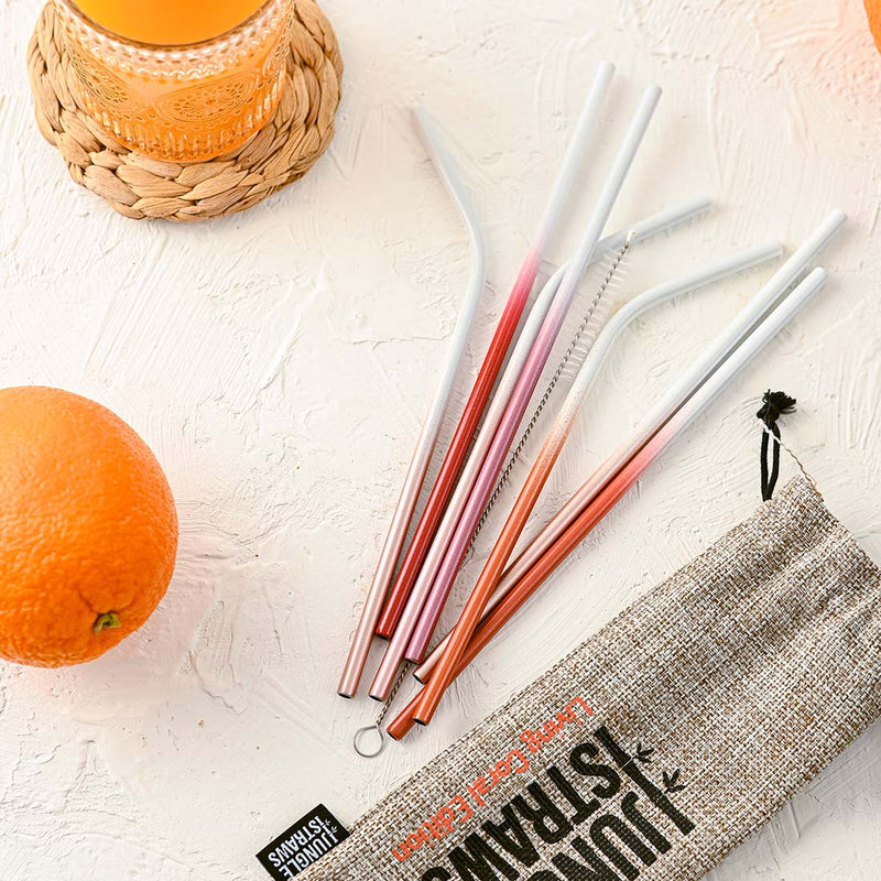 Stainless Steel Reusable Straw Set | Ocean Inspired (Pack of 8)