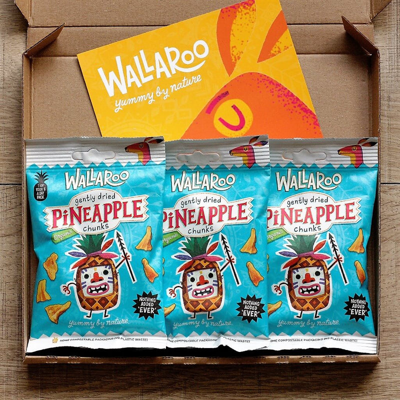 Tasting Bundle - Organic Dried Pineapple Chunks-0