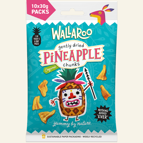 Organic Gently Dried Pineapple Chunks-0
