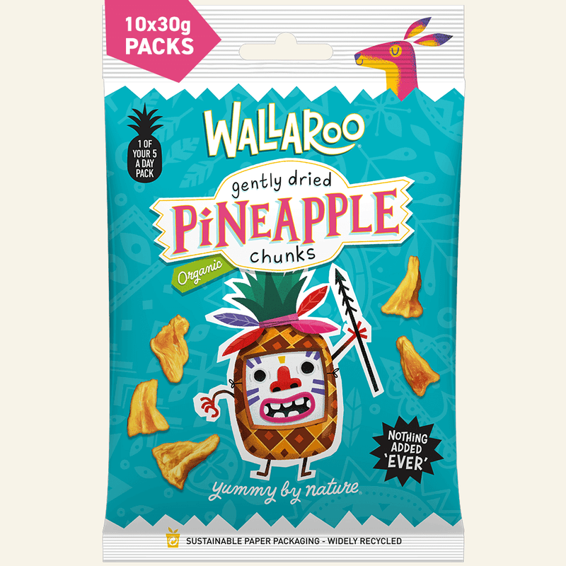 Organic Gently Dried Pineapple Chunks-0
