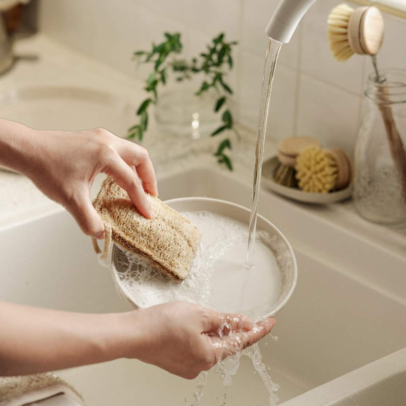 Sustainable Dish Brushes | 4 Piece Starter Set w/ Loofah Sponge