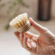 Replacement Heads for Long Handle Dish Brush (Pack of 4)